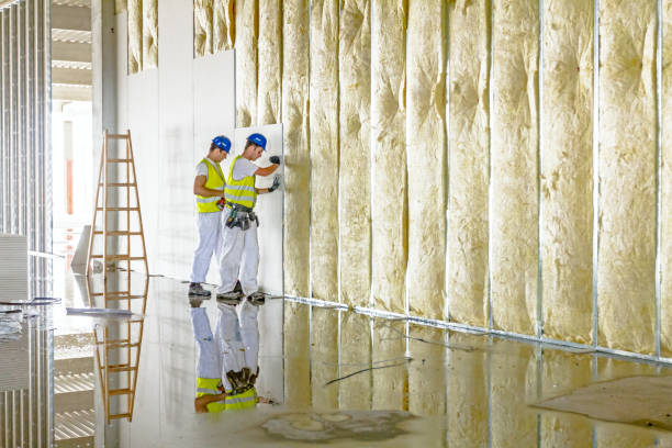 Best Crawl Space Insulation  in Lubbock, TX